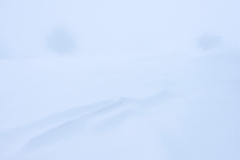 Imanol-Zubiaurre-Errezel-zuria