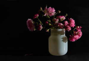 Jesús Mari Rodríguez - Bodegon