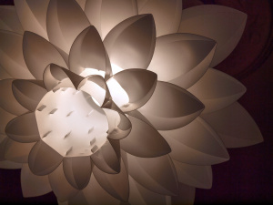 Jesús Mari Rodríguez - La luz