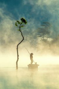 Golden mist